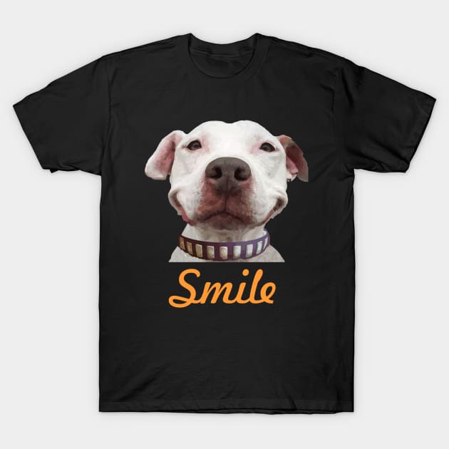 Smile T-Shirt by BeAwesomeApparel
